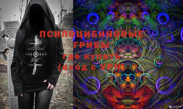 прущий лед Белокуриха