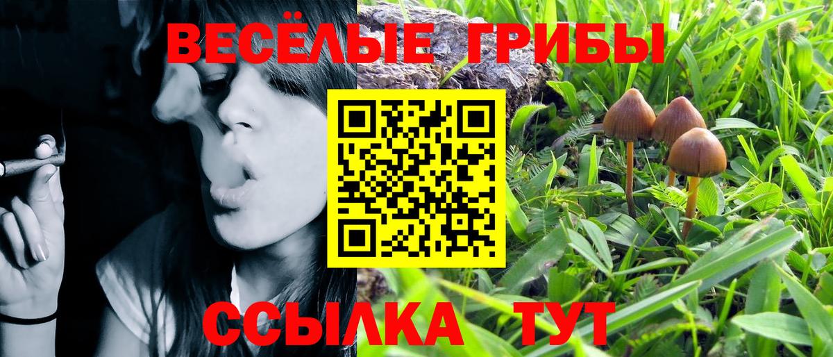 Галлюциногенные грибы мицелий Сердобск