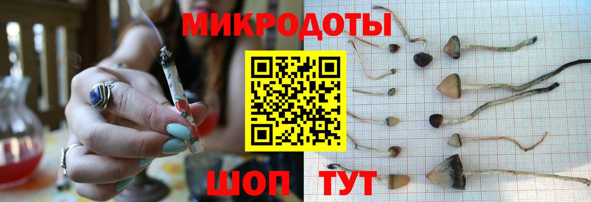 Сердобск  Псилоцибиновые грибы Psilocybe  купить наркоту  Вход с VPN 